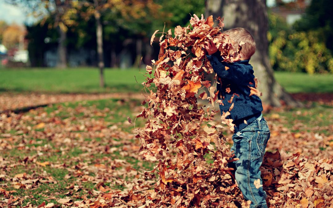 Common Mental Health Issues for Kids in the Fall Season
