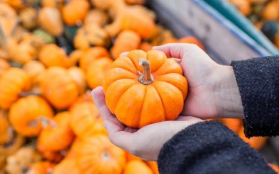Mental Health Challenges in the Fall: Understanding and Managing Seasonal Struggles